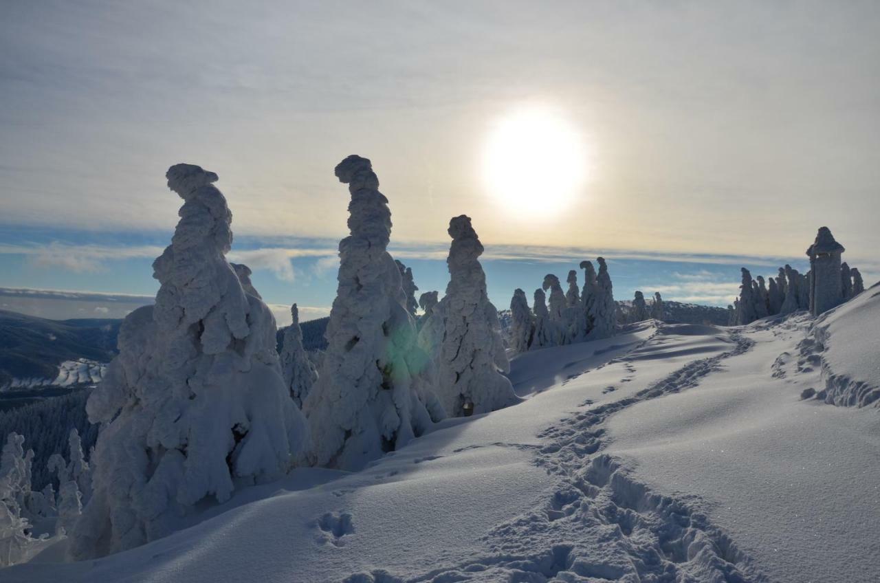 Chata Jiriho Na Seraku Bela pod Pradedem Exteriör bild